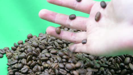 mano de mujer agarrando granos de café, pantalla verde