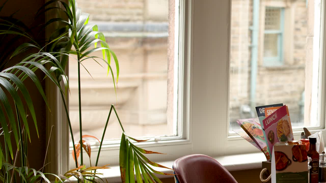 Camera slowly pans past leather chairs, potted palm, and window in sunlit vintage cafe interior