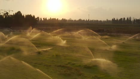 irrigation system at sunset