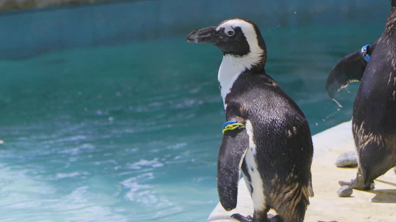 la mejor vista en tokio