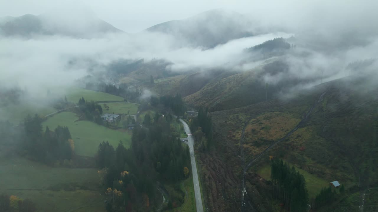 drone aerial, Fog in valley, misty forest after rain,