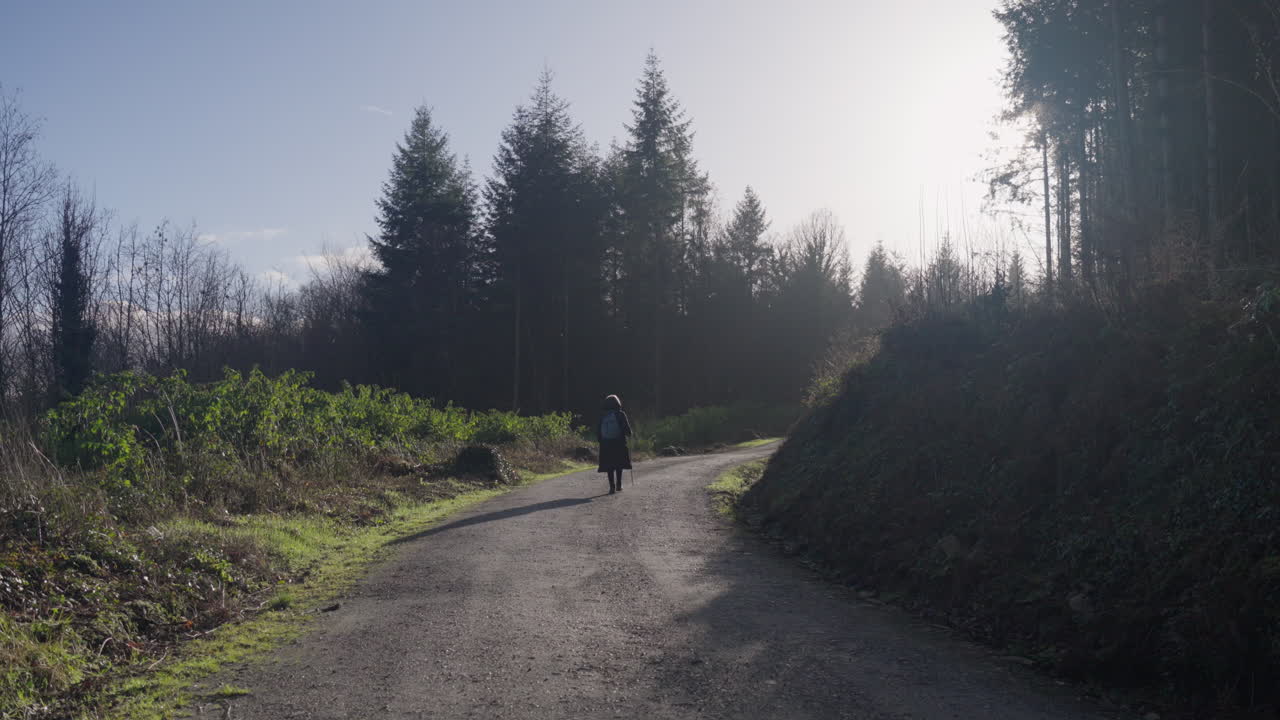 mujer caminando cuesta arriba por una carretera forestal sosteniendo un bastón en un día soleado