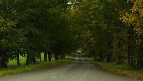 car driving up a road leading in the middle of a deciduous forest with a look down and zoom out camera movement during a strong wind in autumn during a sunny afternoon in beskids regional 4k 60fps
