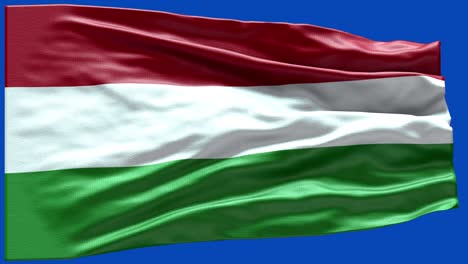 4k bandera muy detallada de hungría - bandera húngara alto detalle - bandera nacional húngara patrón de ondas elementos en bucle