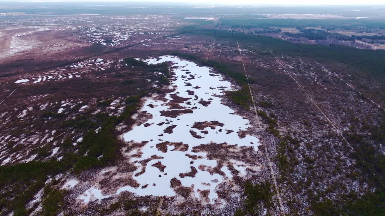 Drone flying backward revealing frozen marsh landscape in winter Latvia