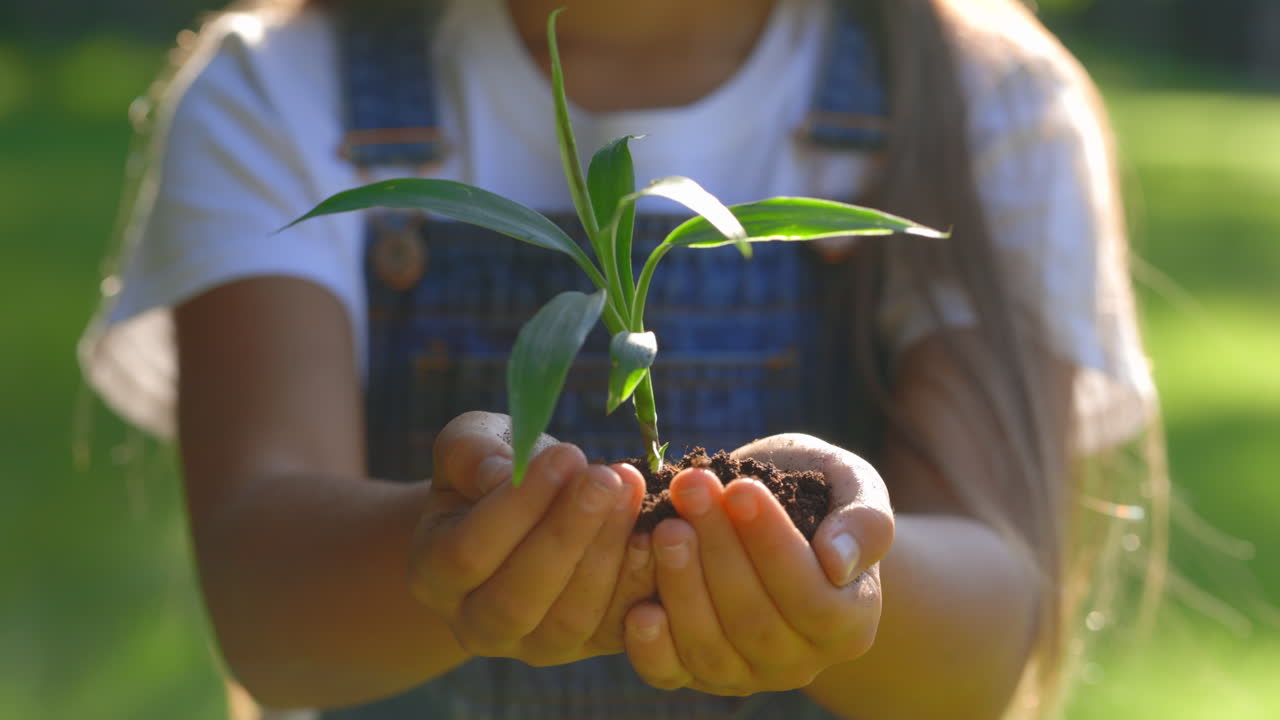Child Planting a Seed
