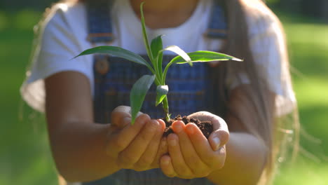 Child Planting a Seed