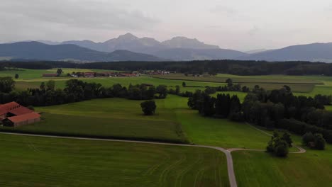 aerial tilt up of rural road between green fields revealing alpine landscape