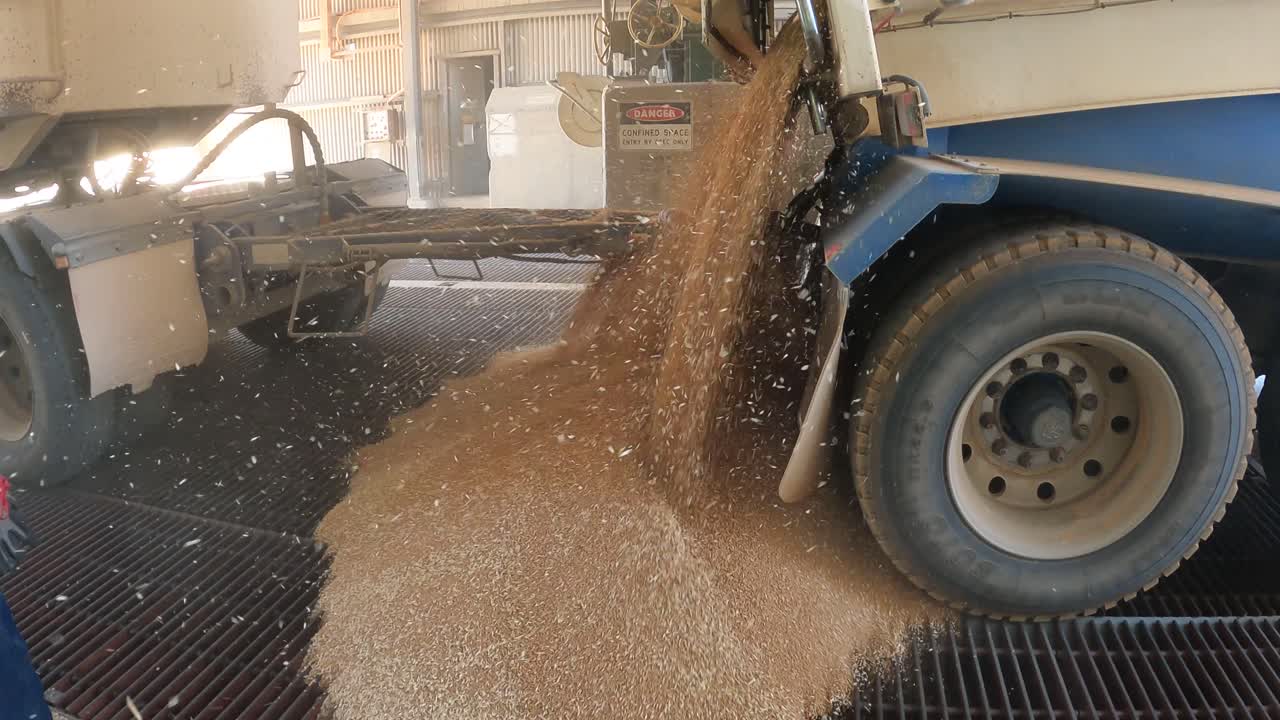 Slow Motion Shot Of Unloading Of Grain Into Storage Grid At Reception Point, Western Australia