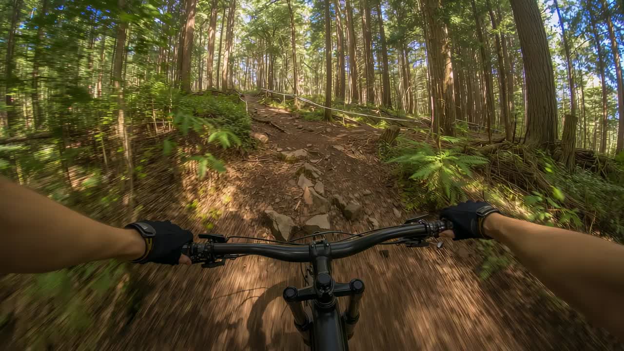 Spotting white ribbon cyclist gripping handlebars, pedaling uphill on rocky trail, flanked by ferns