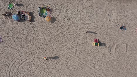 aerial view of people relaxing, sunbathing and strolling at the beach on a sunny day