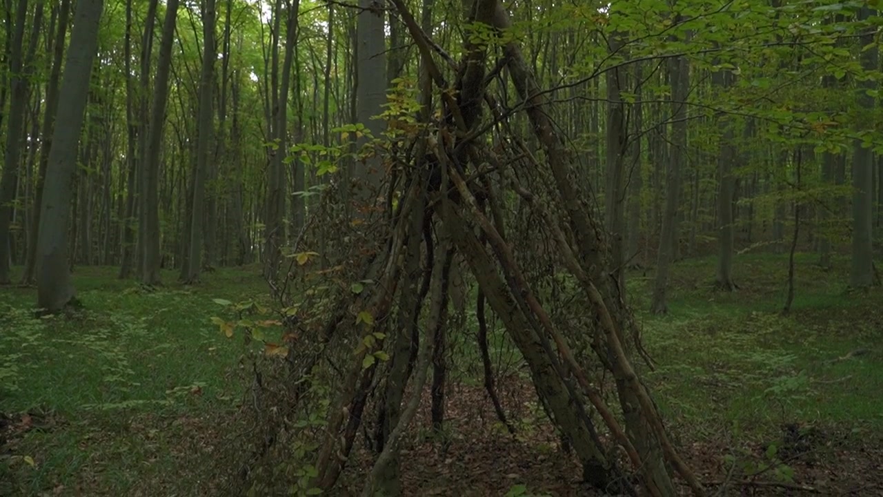 Vista frontale di un rifugio a teepee rustico fatto di rami di legno in una fitta foresta verde, che rappresenta il survivalismo all'aperto e il campo di bushcraft