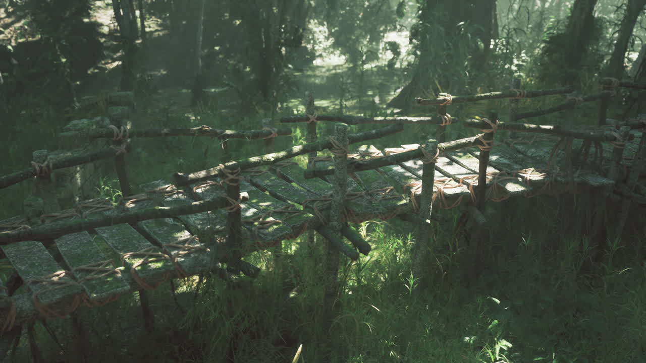 Ancient wooden footbridges in the dense jungle built by indigenous peoples