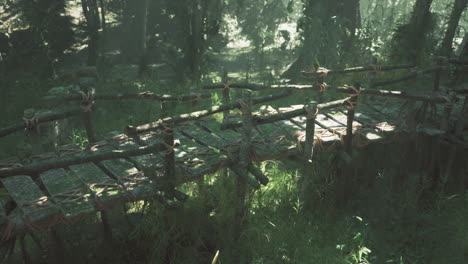 ancient wooden footbridges in the dense jungle built by indigenous peoples