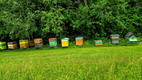 Beehives-along-a-countryside-field-and-forest,-bees-increase-food-production-through-pollination