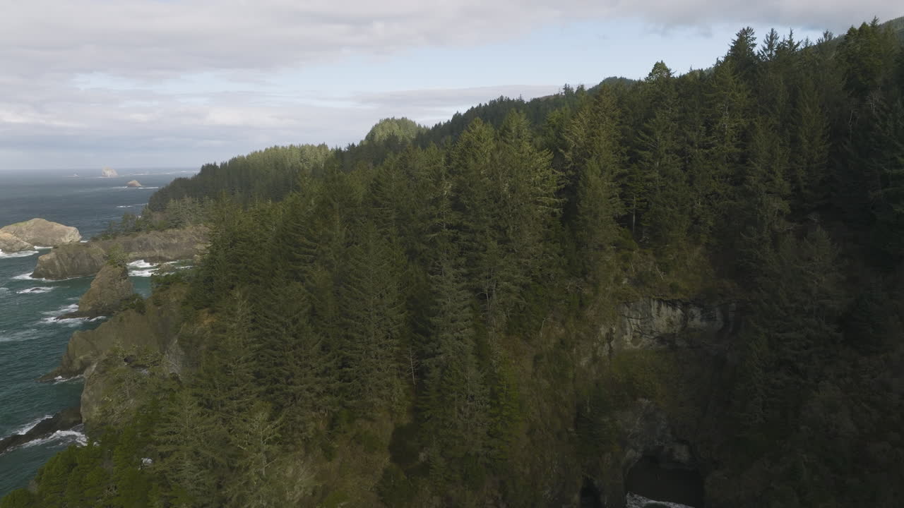 Aerial flyover of the Oregon Coast with dense green forests meeting the rocky shoreline at Cape Perpetua