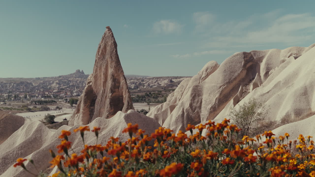 Amazing Cappadocia Landscape with Flowers