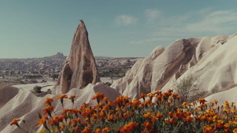 amazing cappadocia landscape with flowers