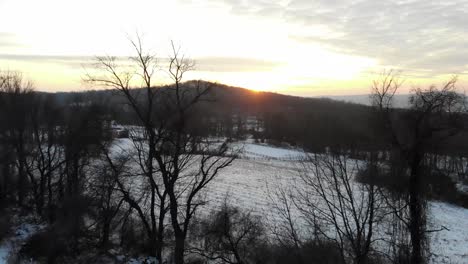 K-Drone-Flying-Through-Trees-in-Winter