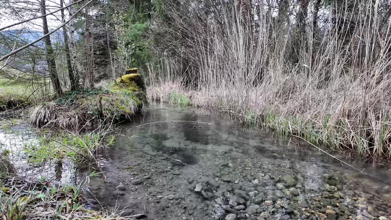 고립된 자연 장소, 스위스 알프스 근처의 은 물 강 하천