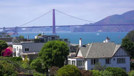 the golden gate bridge behind a residential neighborhood in san francisco