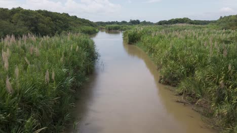 Mosca-Aérea-A-Lo-Largo-De-Un-Tiro-A-Lo-Largo-De-Un-Arma-Lateral-Del-Río-Cotos-En-La-Costa-Pacífica-Central-De-Costa-Rica