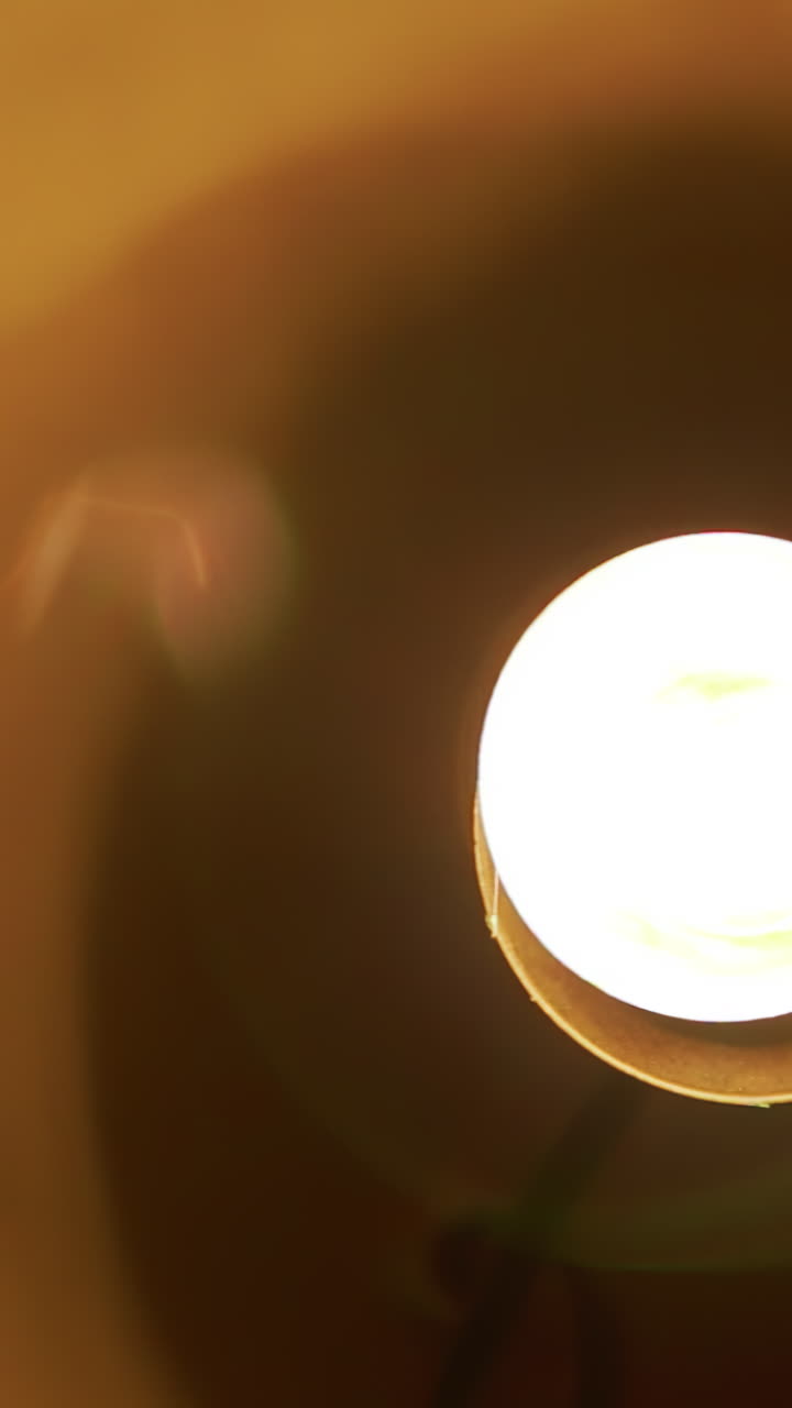 primer plano de bombillas incandescentes