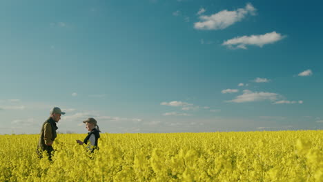 landwirte bei der inspektion eines rapsfeldes