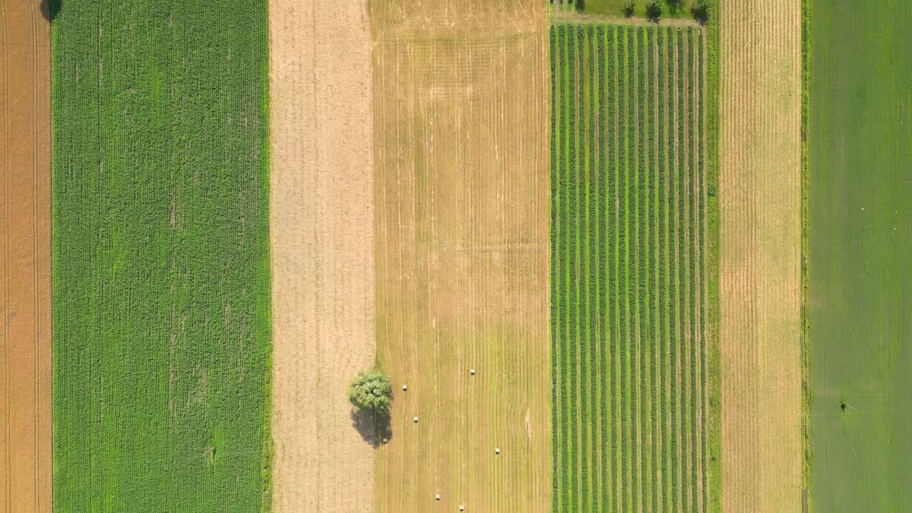 vista aérea con la textura de la geometría del paisaje de muchos campos agrícolas con diferentes plantas como la colza en la temporada de floración y el trigo verde