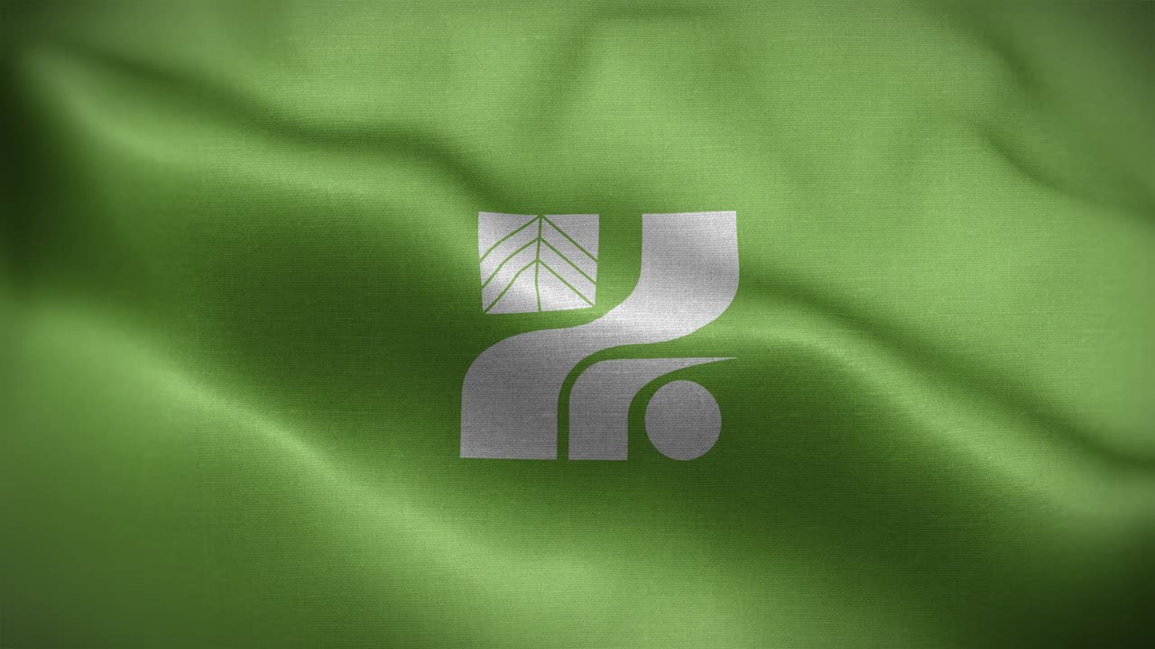 Tochigi Prefecture Japan Flag Loop Background 4K