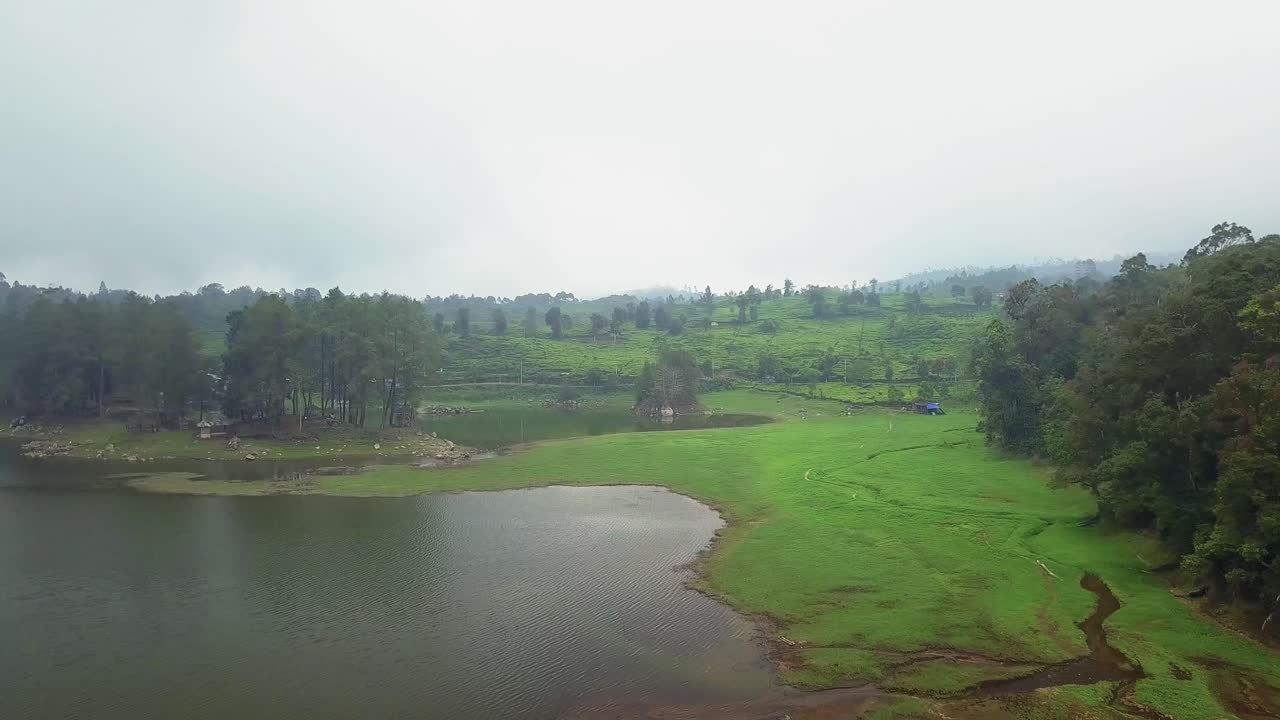 Lake with mountain and pine forest tea field