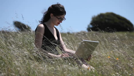 Eine-Frau-Sitzt-Mit-Ihrem-Laptop-Auf-Einem-Feld