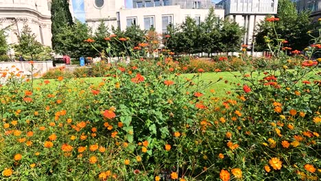 colorful flowers in front of st. paul's cathedral