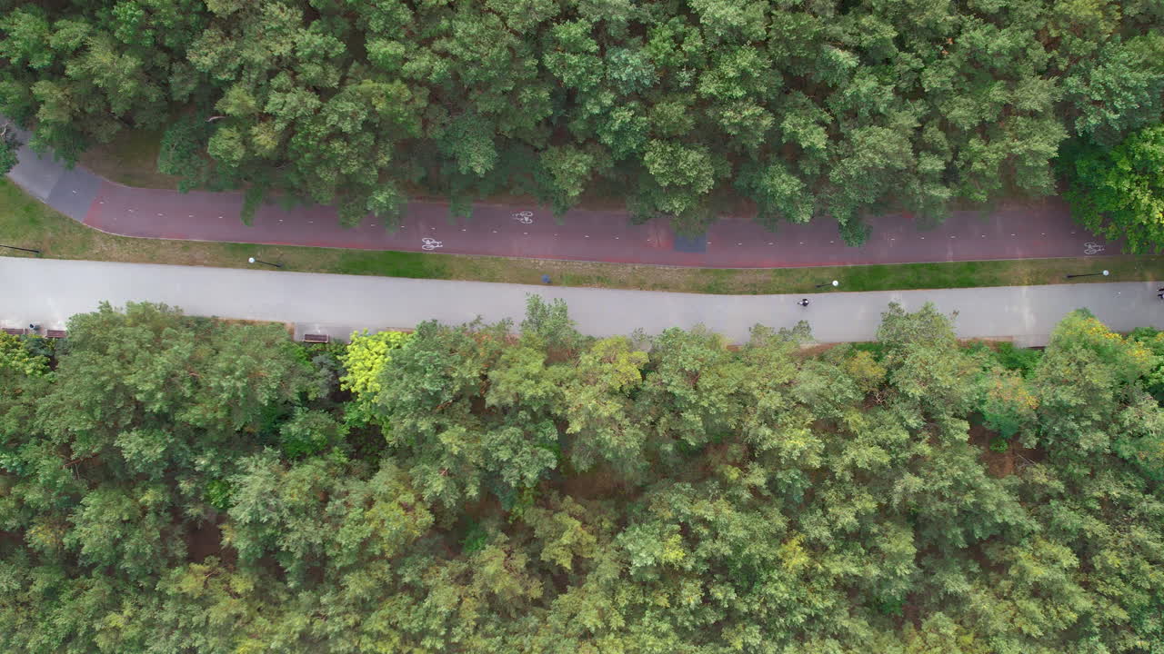 폴란드 그단스크 의 젤리트코바 해변 위 에 있는 사람 들 이 푸른 초록색 으로 둘러싸인 보드워크 에서  ⁇ 고 있다