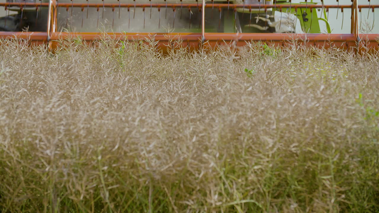 수확 결합 수확기 밀 수확 10