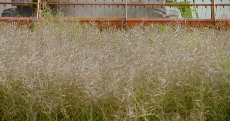 Harvesting-Combine-Harvester-Harvesting-Wheat-10