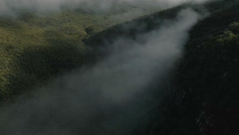 aerial view of misty forest in mountains, morning fog clouds above the mountain woodland