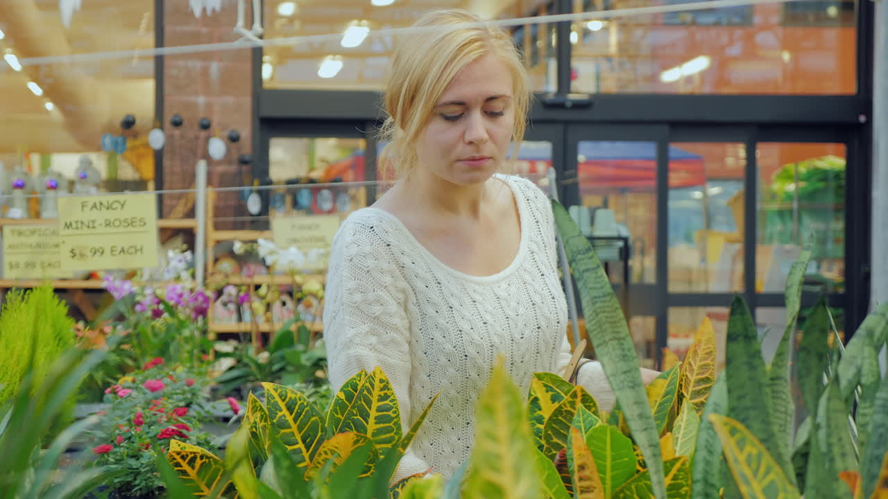 젊은 백인 여자는 보육원에서 조경을 위해 꽃을 선택합니다 1