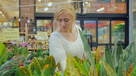 young caucasian woman chooses flowers for landscaping in the nursery 1