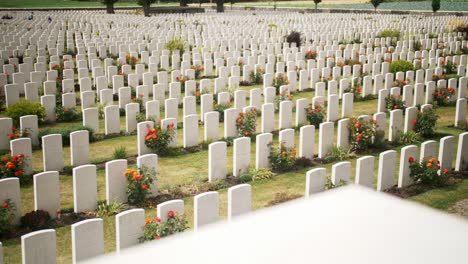 Headstones-at-a-War-Memorial-Cemetery-amongst-a-beautiful-Green-Garden-with-Red-Roses-in-Ypres-Beglium,-rising-handheld-shot