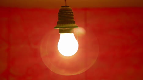 hanging light bulb against a red wall