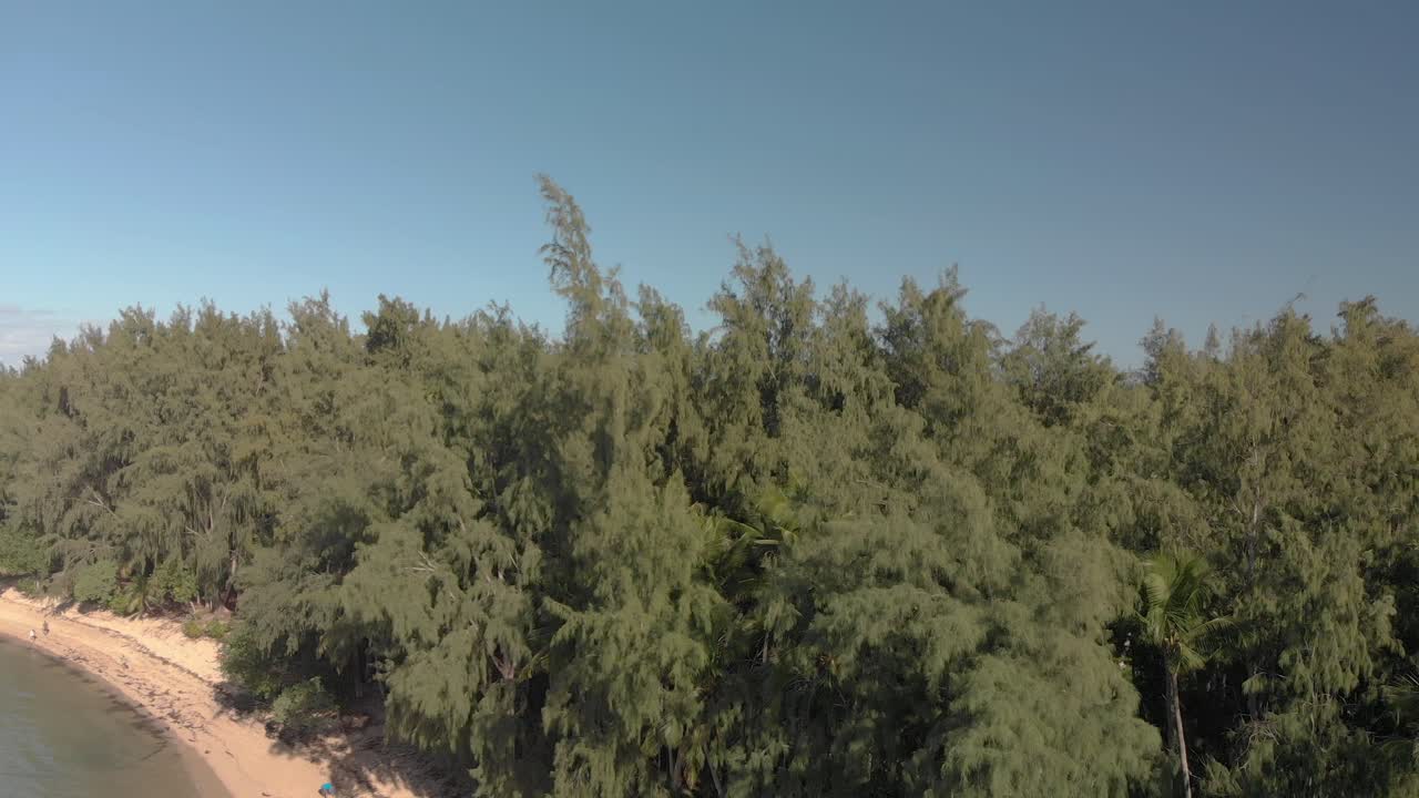 오아후 섬에 있는 하와이 거북 해변의 해안선 조감도