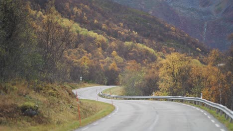 一條窄窄的農村路穿過秋天的風景