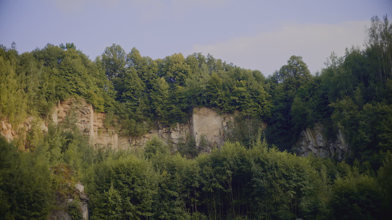 вид на лес и озеро