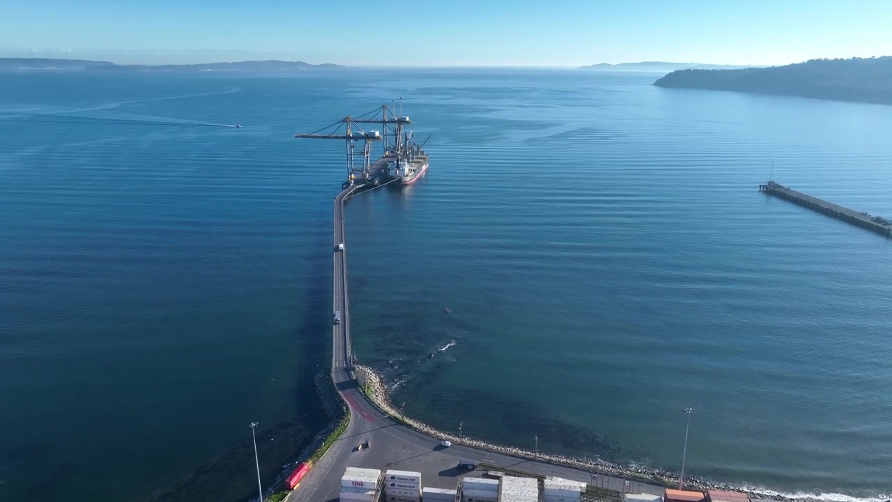 Sorvolo di un lungo molo che si estende in acque blu calme verso una nave da carico che sta caricando presso un terminal industriale costiero.