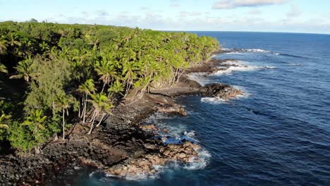 ascending over natural beach on hawaii island with black volcanic rock and forest