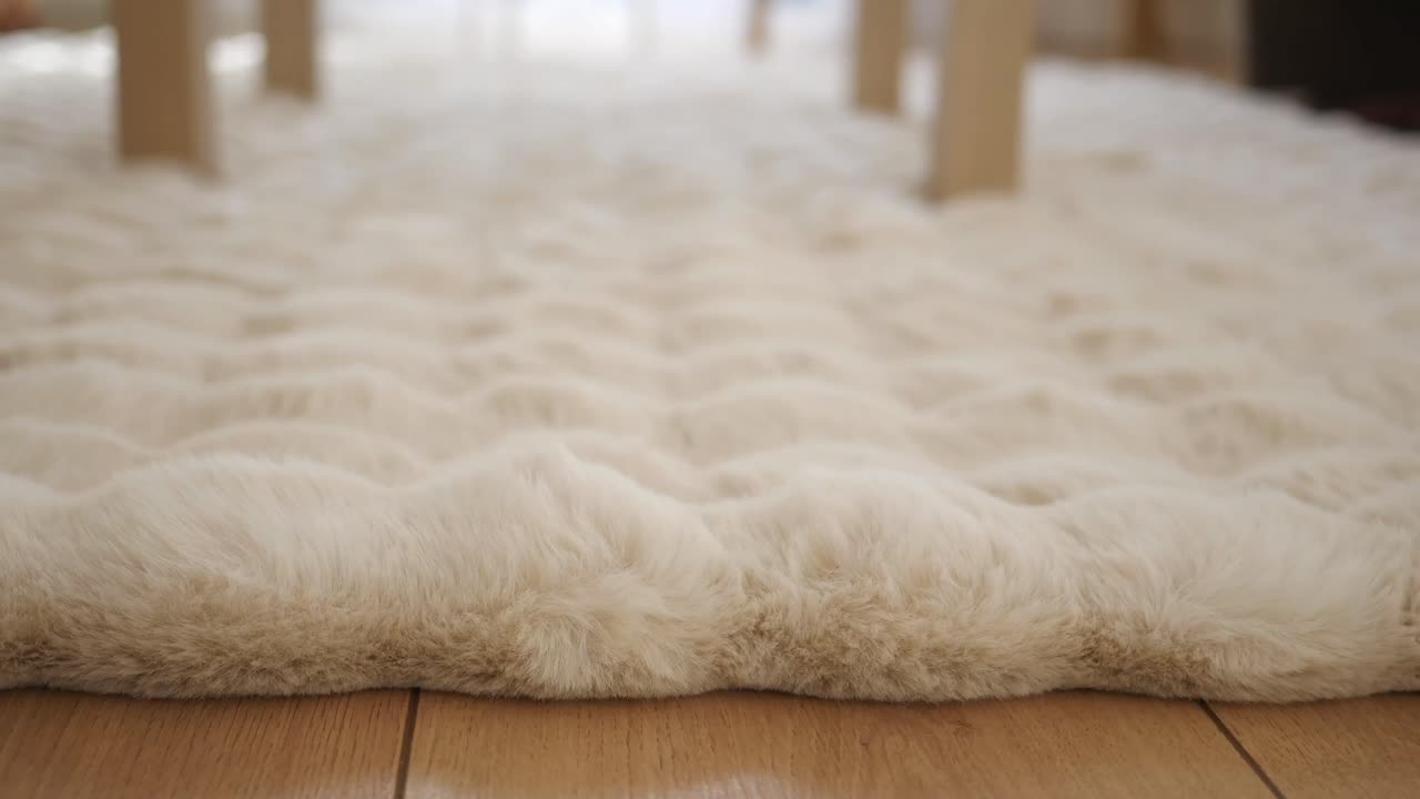 Close-up of a fluffy rug on a wooden floor