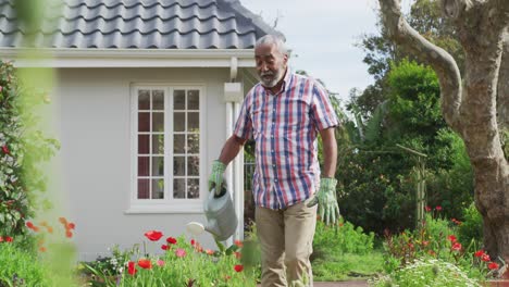 Animation-of-african-american-senior-man-gardening,-watering-flowers