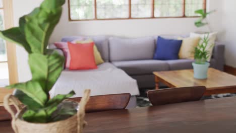 Close-up-view-of-plant-pot-on-wooden-table-in-modern-living-room