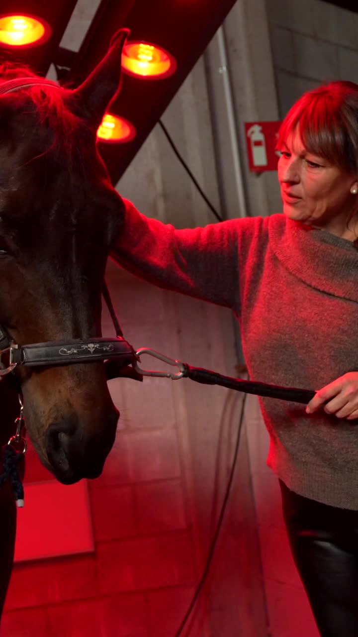 Red Light Therapy for Horses